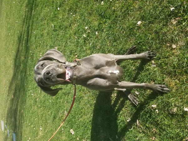 /Images/uploads/Humane Society of Utah/HSUCalendar/entries/942thumb.jpg
